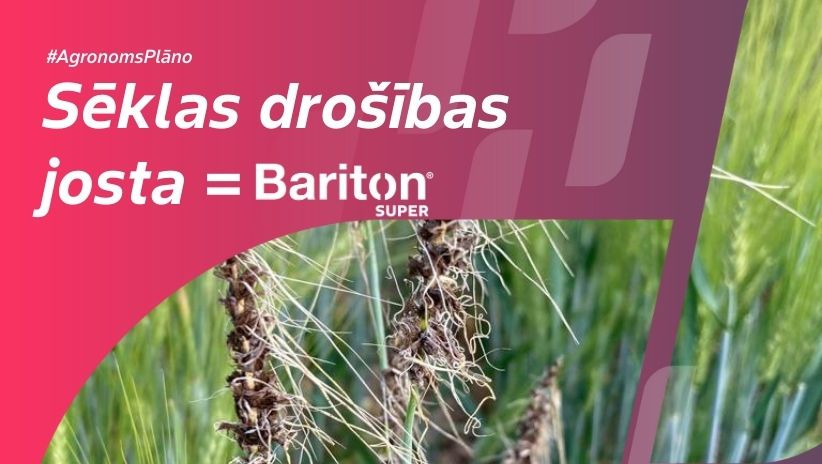 #AgronomsPlāno Nr.21: KODNE IR PUSE NO UZVARAS: Bariton® Super graudaugiem